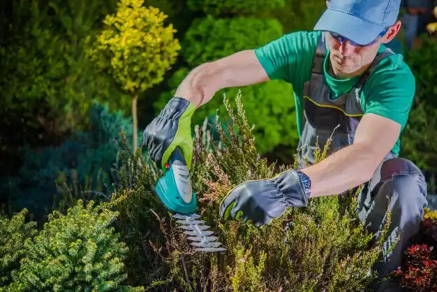 landscaping services Hanley Hills